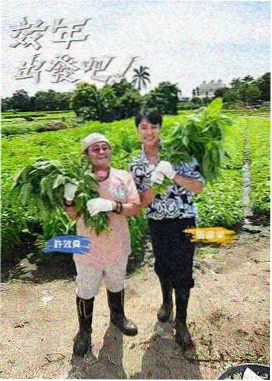 内衣办公室 女性力量